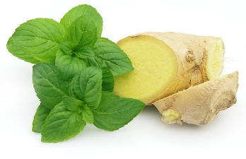Ginger and mint in the composition of the funds