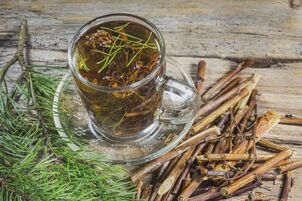 Conifer broth